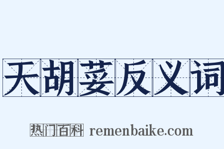 天胡荽反义词是什么意思的图片